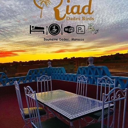 Riad Dades Birds Boumalne Dades Экстерьер фото