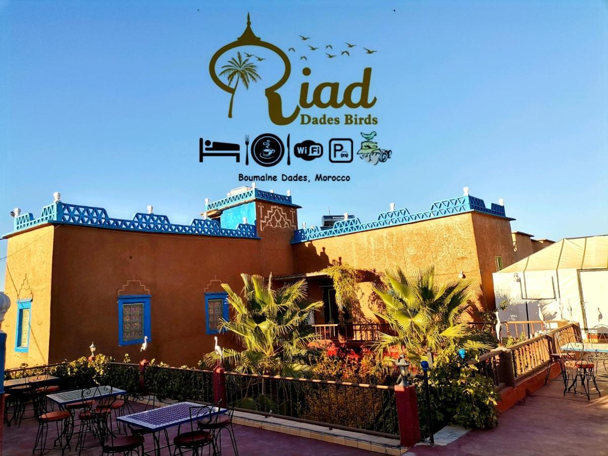 Riad Dades Birds Boumalne Dades Экстерьер фото