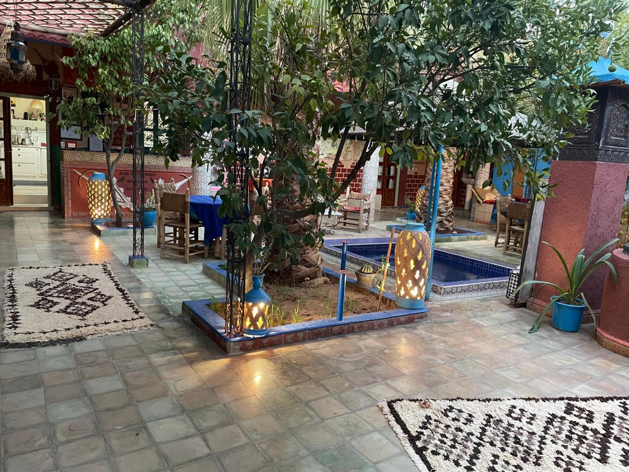 Riad Dades Birds Boumalne Dades Экстерьер фото