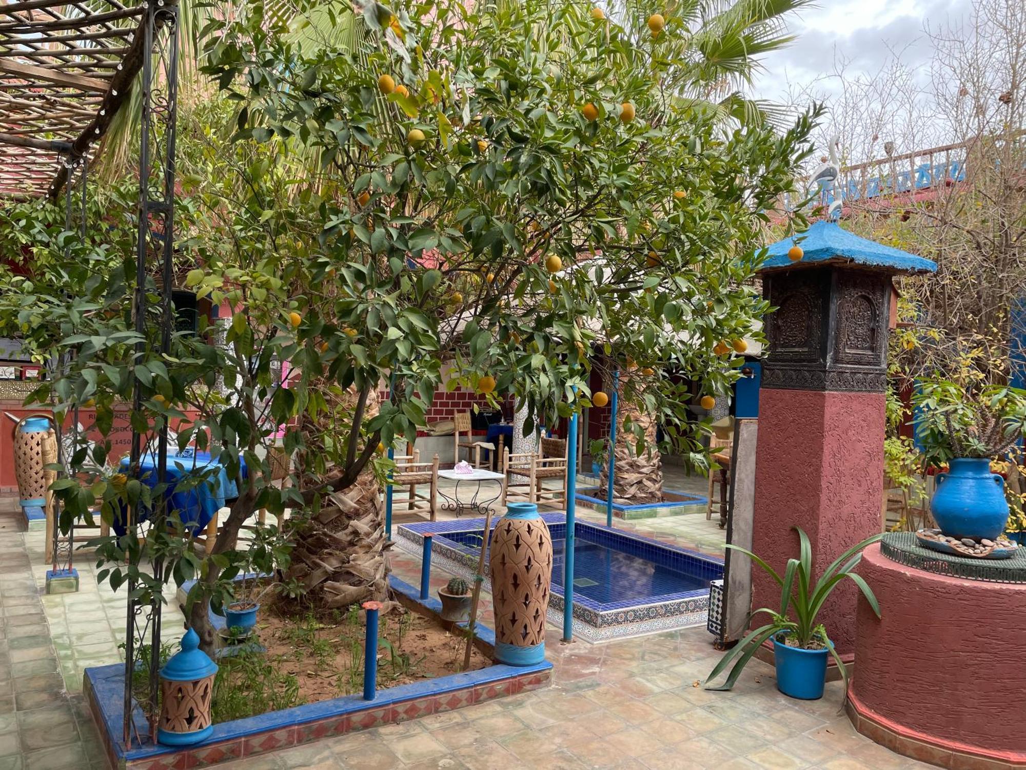 Riad Dades Birds Boumalne Dades Экстерьер фото