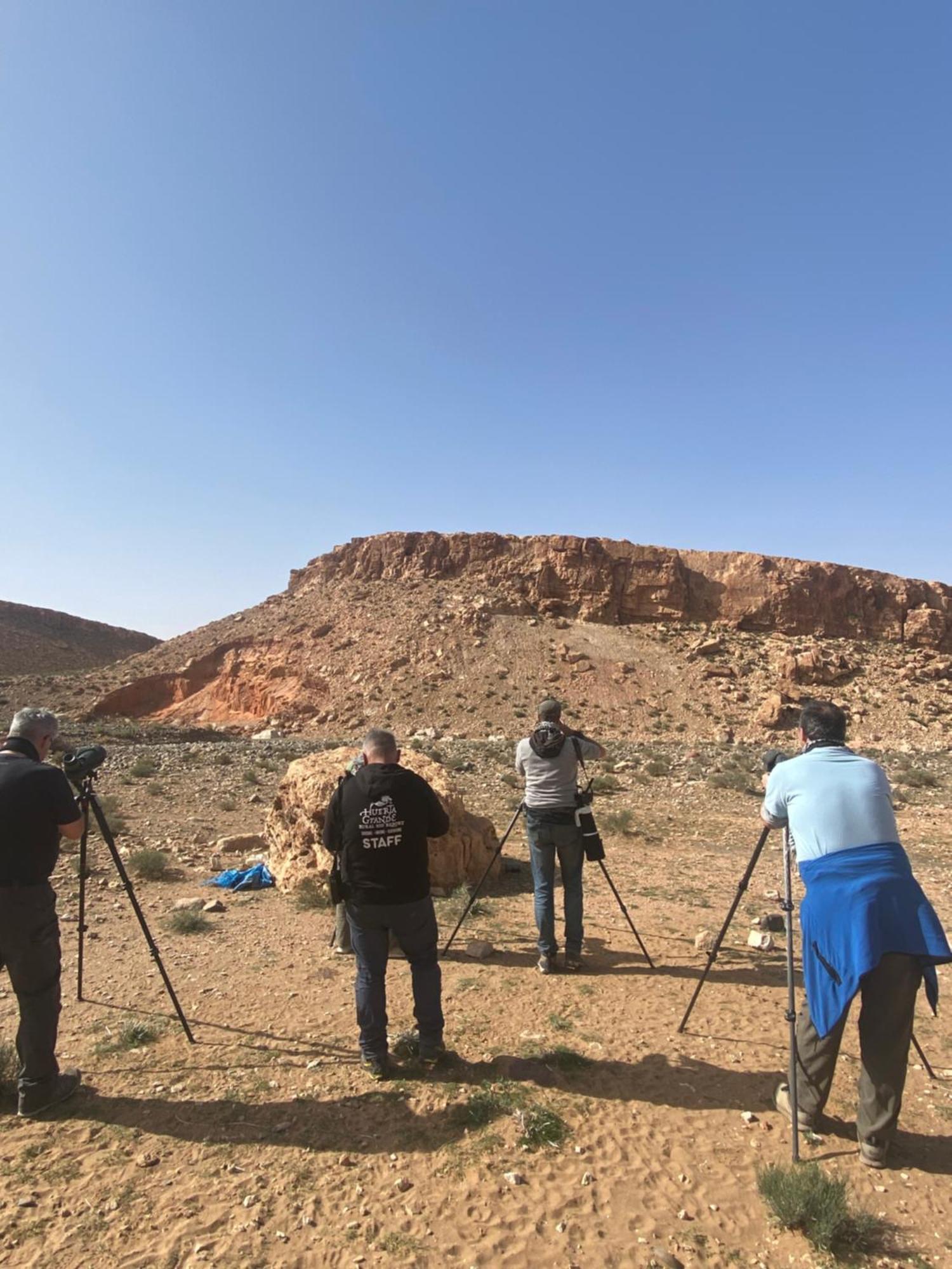 Riad Dades Birds Boumalne Dades Экстерьер фото